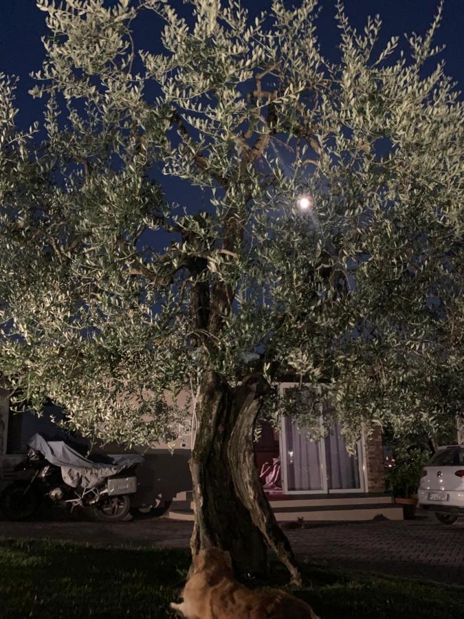 דירות פוצ'קיו Locazione Turistica Casa Olivo מראה חיצוני תמונה