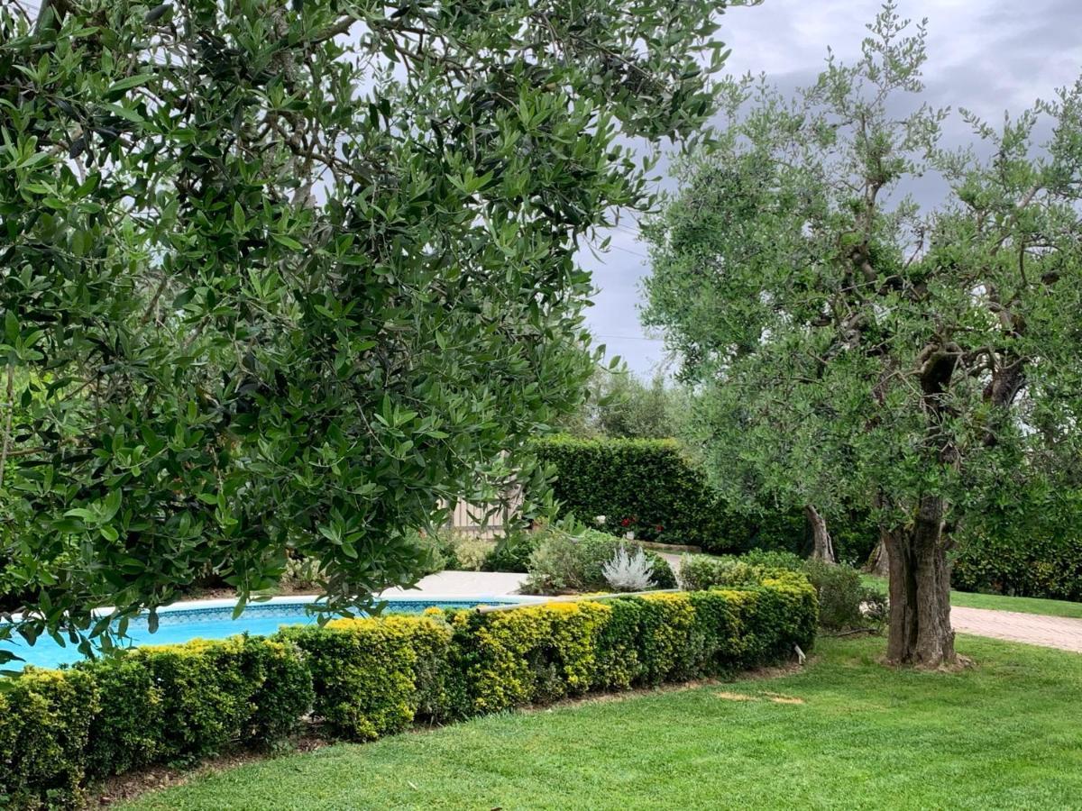דירות פוצ'קיו Locazione Turistica Casa Olivo מראה חיצוני תמונה