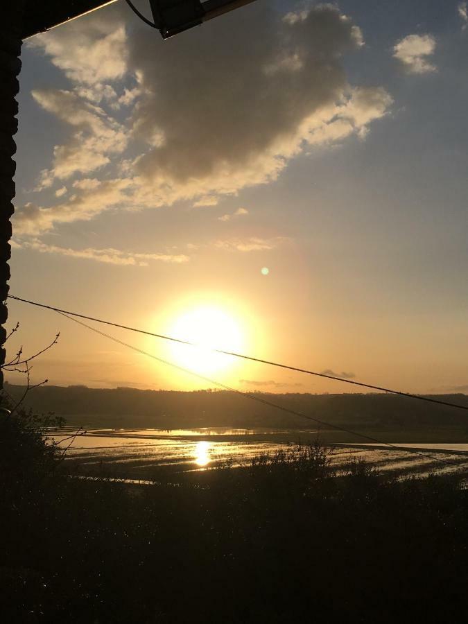 דירות פוצ'קיו Locazione Turistica Casa Olivo מראה חיצוני תמונה